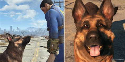 find dog fallout 4|fallout 4 inspirational dogmeat.